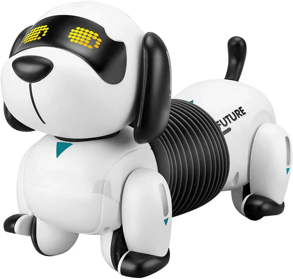 Rc dog
