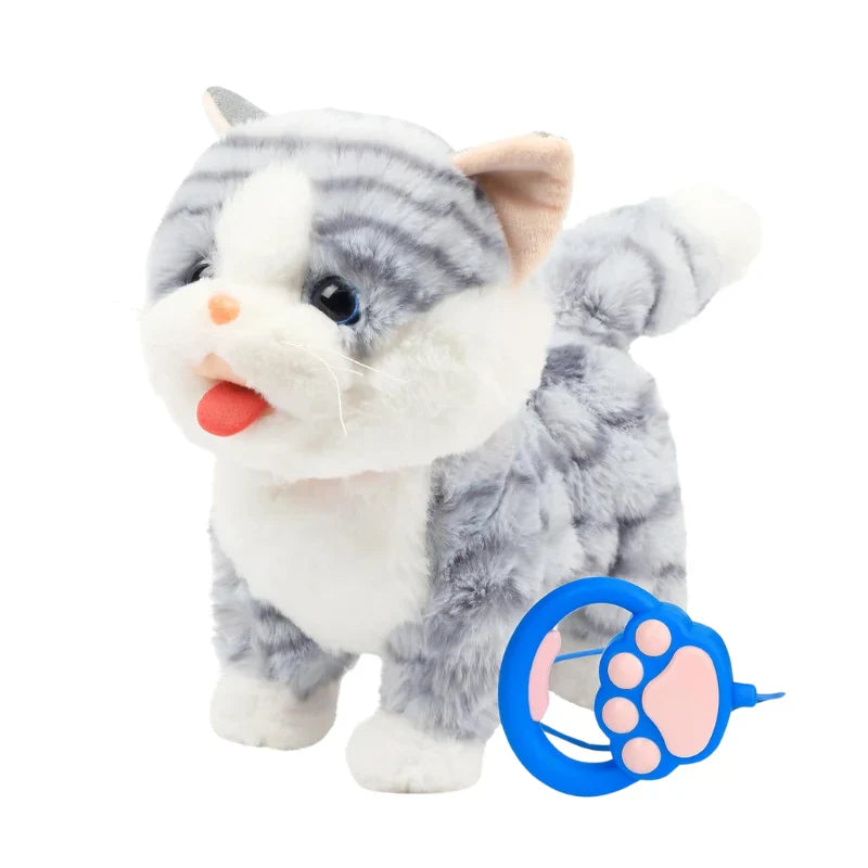RC CAT