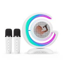 DOUBLE MIC SPEAKER