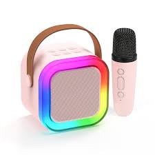 SINGLE MIC SPEAKER