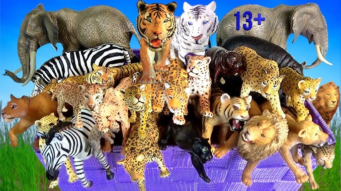 tnt wild animal