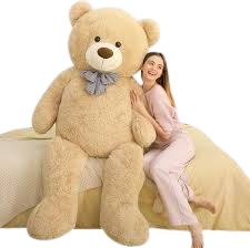 Teddy Bear stuff toy