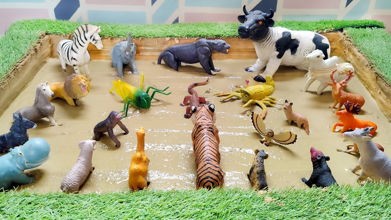Farm World full of Fun Zoo