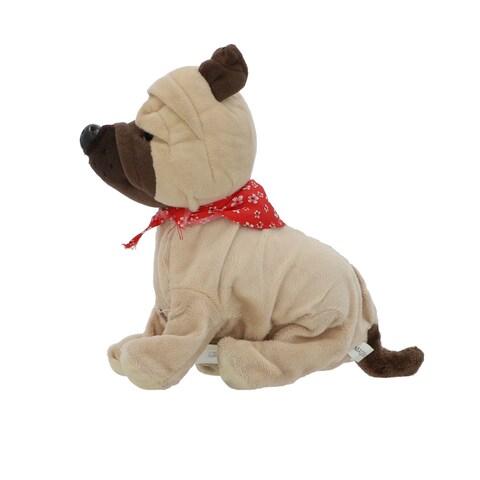 SENCER DOG