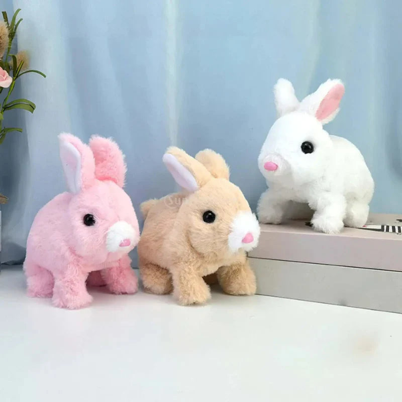 RABBIT