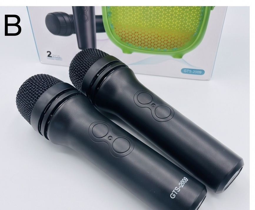 Ultimate Party Karaoke System (GTS-2009) with 2 Wireless Microphones | Happy Gift Center