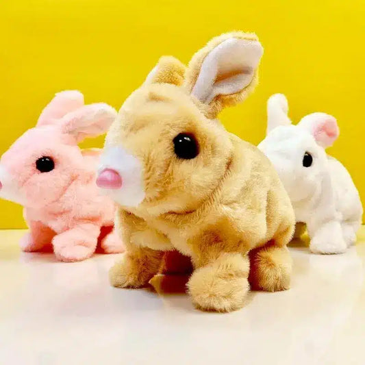 RABBIT