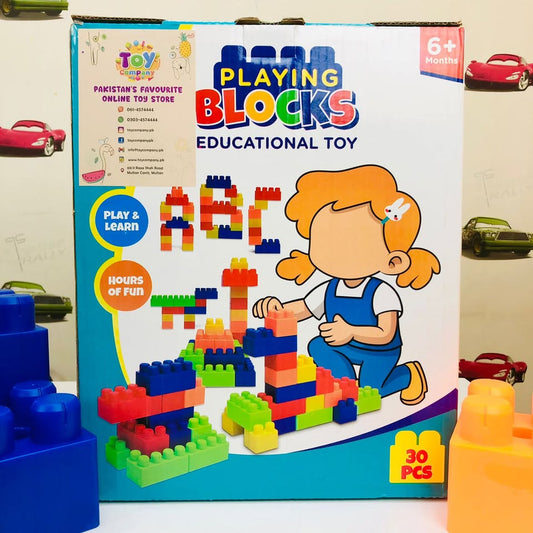 Playing Blocks Educational Toy