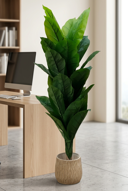 Broad-Leaf Decorative Plant with Tan Planter | Happy Gift