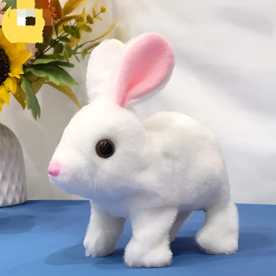 RABBIT
