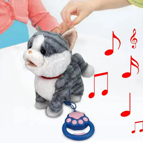 RC CAT