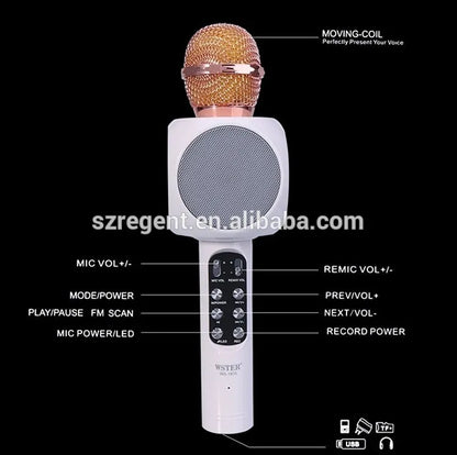 LABUBU Handheld Bluetooth Karaoke Microphone – Fun for Kids Ages 3+