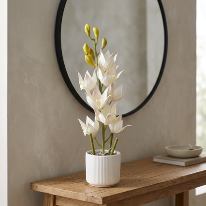 Title: White Artificial Flower Arrangement in Ribbed Pot | Happy Gift