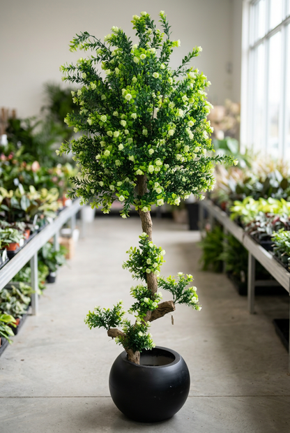 Flowering Decorative Tree in Black Planter | Happy Gift