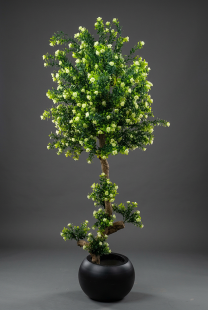 Flowering Decorative Tree in Black Planter | Happy Gift