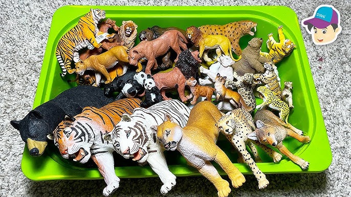 tnt wild animal