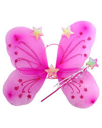 Princess Fairy Wings Costume Set for Kids