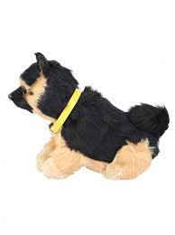 SENCER DOG