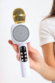 LABUBU Handheld Bluetooth Karaoke Microphone – Fun for Kids Ages 3+