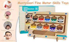 Magnetic Color Classification Maze