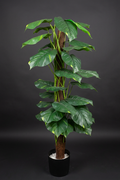 Leafy Decorative Plant in Black Pebble Planter | Happy Gift