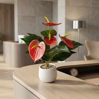 Red Artificial Anthurium Plant in White Ribbed Pot | Happy Gift