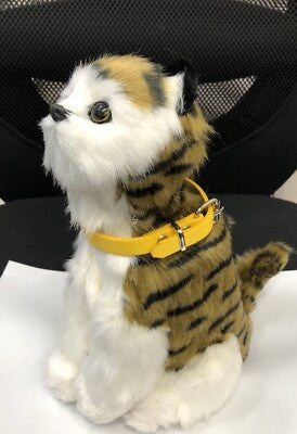 SENCER CAT