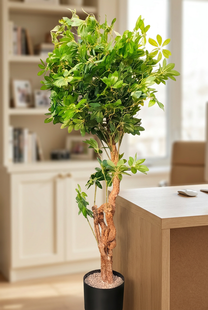 Twisted-Trunk Decorative Tree in Black Pot | Happy Gift