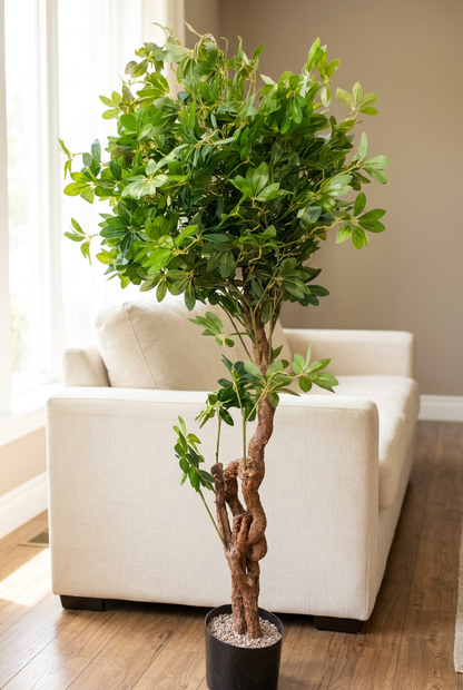 Twisted-Trunk Decorative Tree in Black Pot | Happy Gift