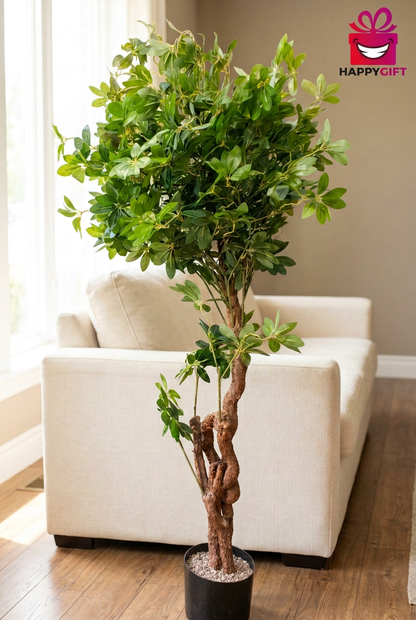 Twisted-Trunk Decorative Tree in Black Pot | Happy Gift