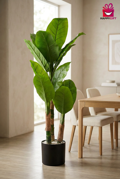 Two-Trunk Broad-Leaf Plant in Black Planter | Happy Gift